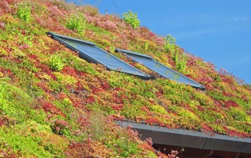 Tuddenham living roof systems